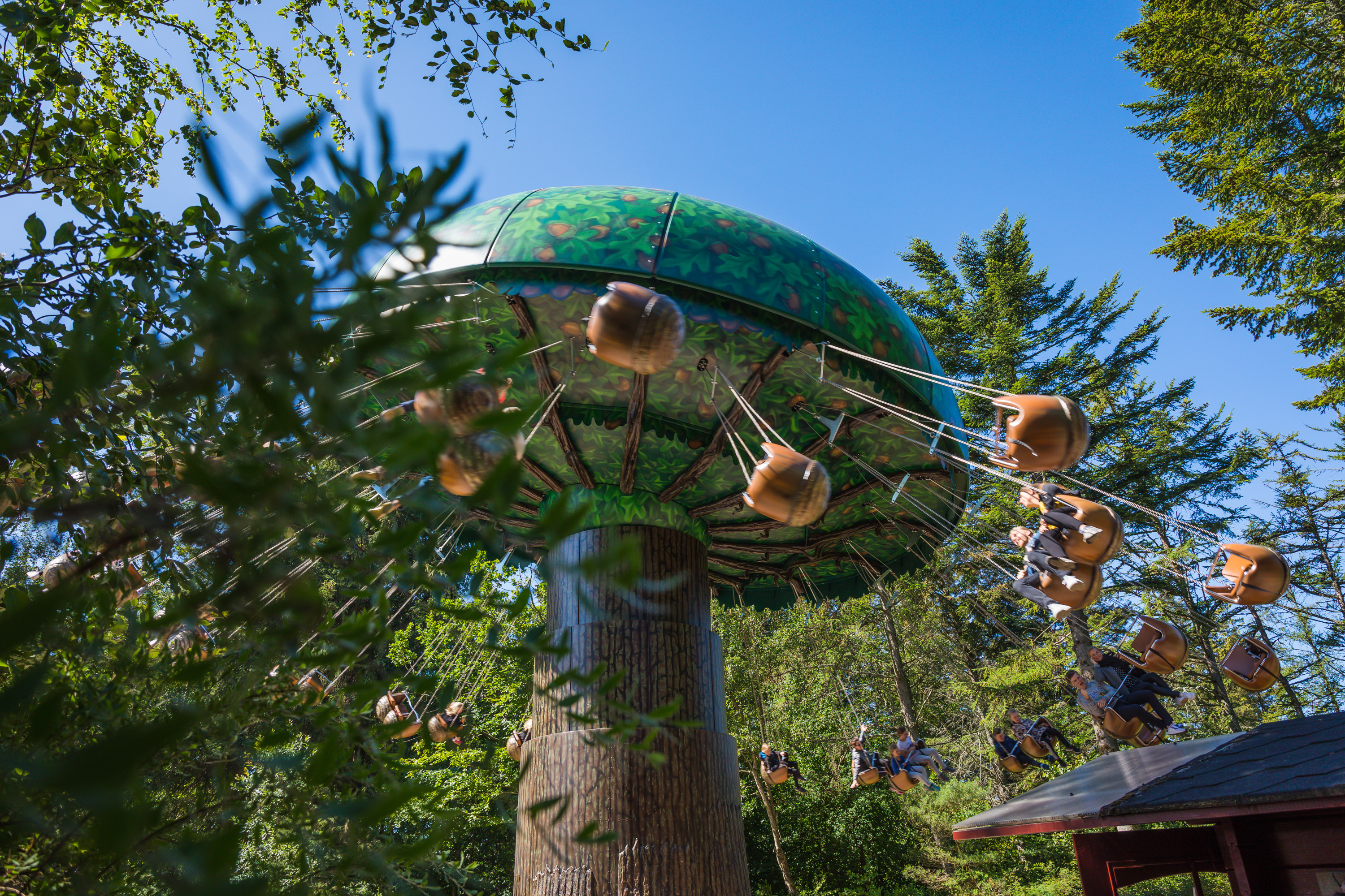 Noeddesvinget 2019 A Web 6366