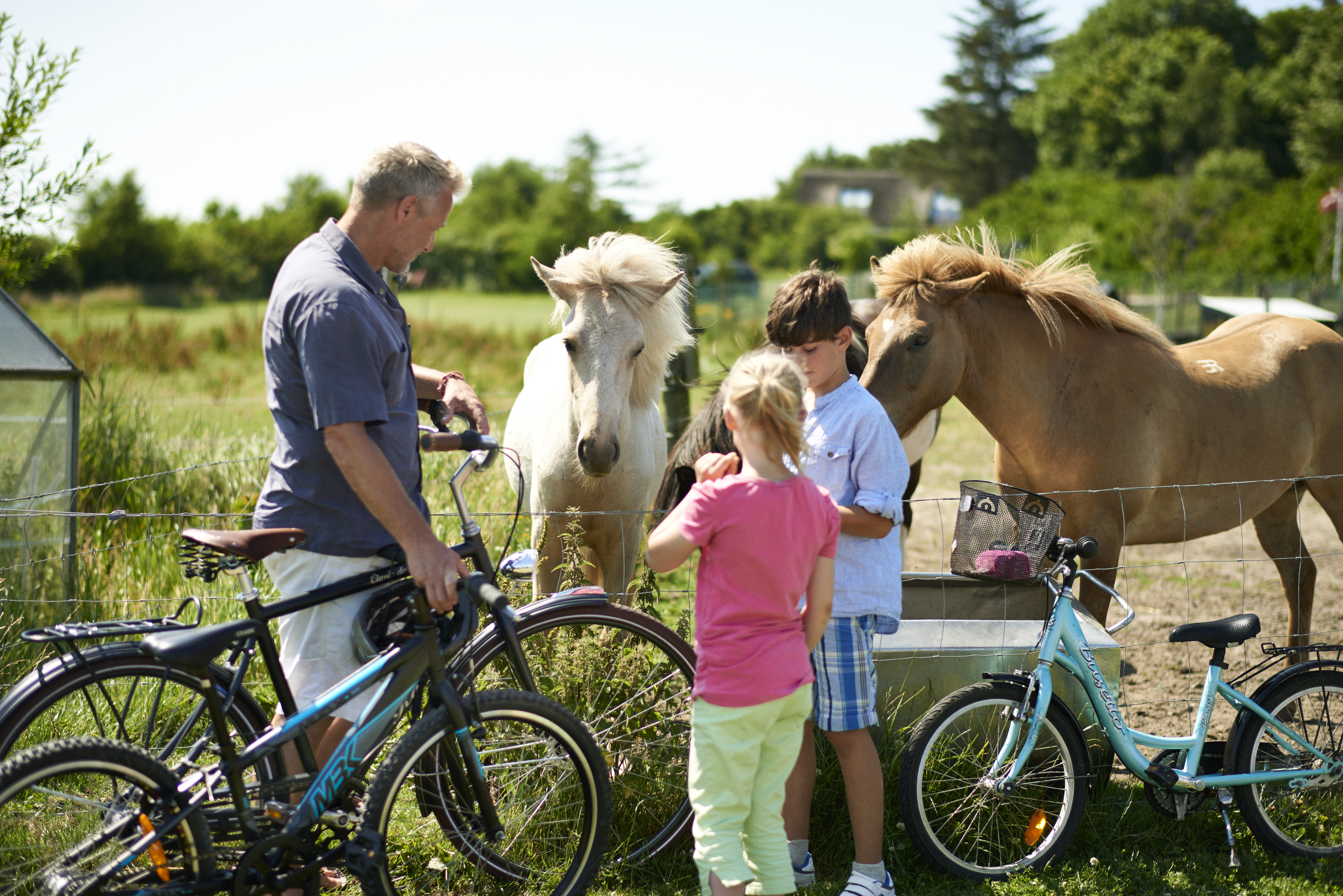Hjortdal Dyrefarm 35923